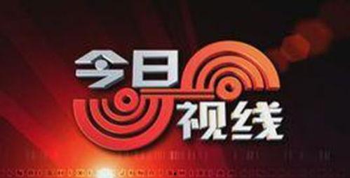 广州今日热点爆料电话,揭秘城市最新动态与神秘事件